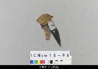 中國北京皮影藏品圖，第2張